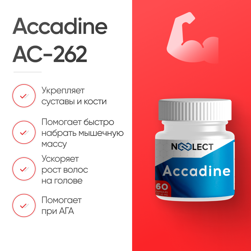Accadine AC-262 60 капсул