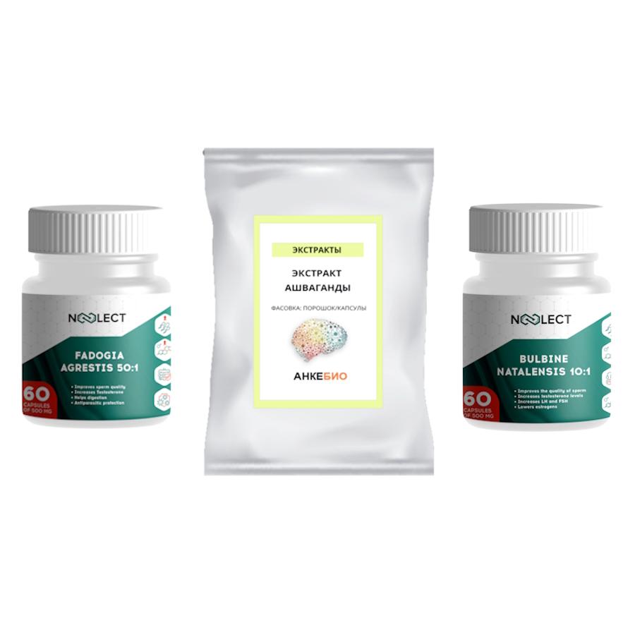 Курс «Активация Тестостерона»